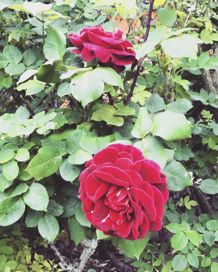 Maison Fortune 카스텔누보델가다 외부 사진